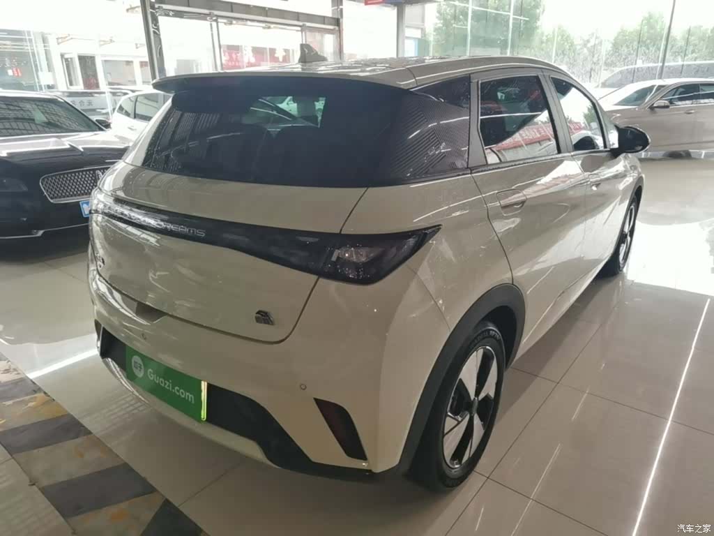 BYD Dolphin, 2023 7