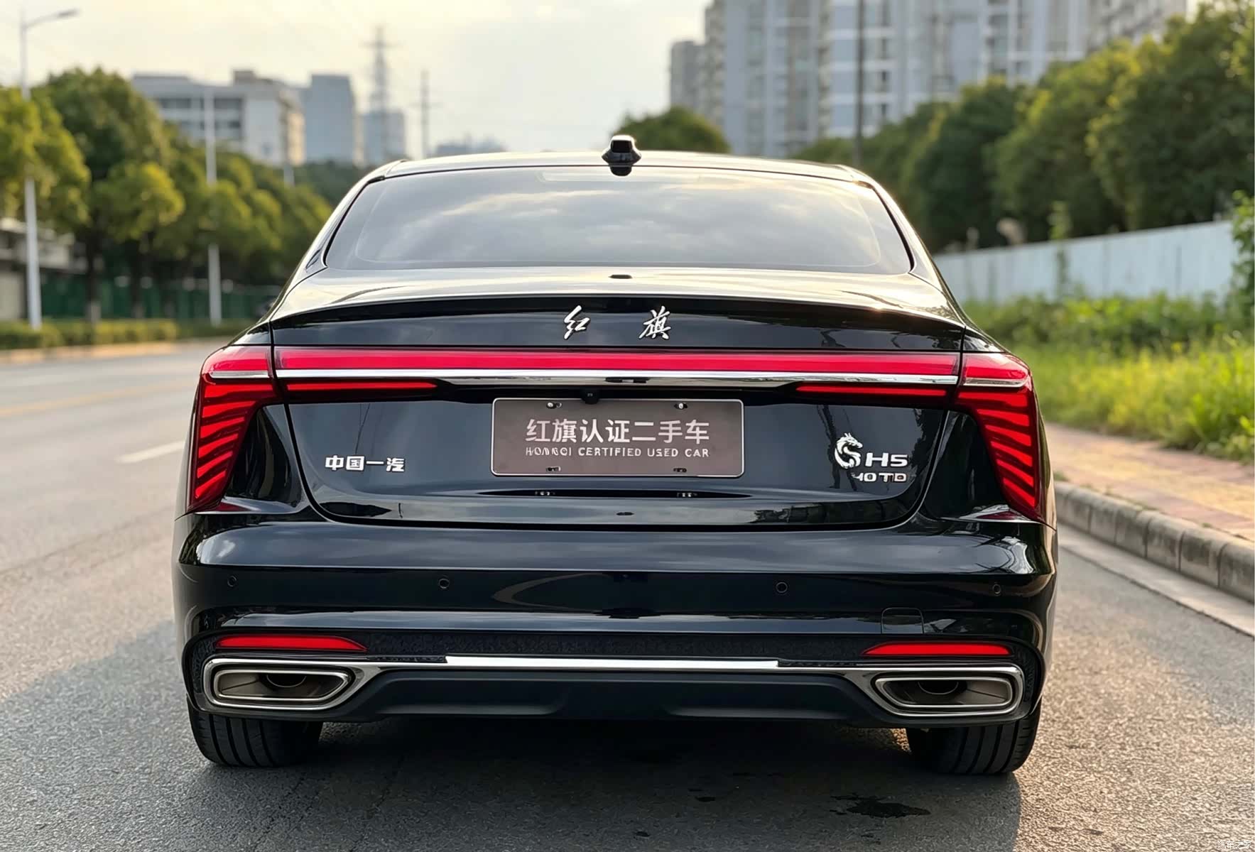 Hongqi H5, 2023 11