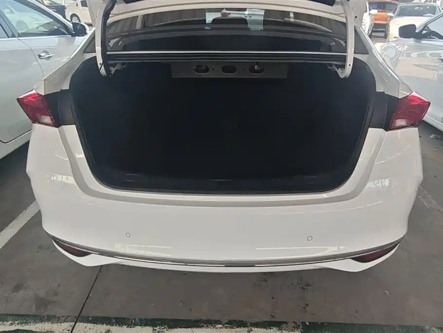 Buick Weilang