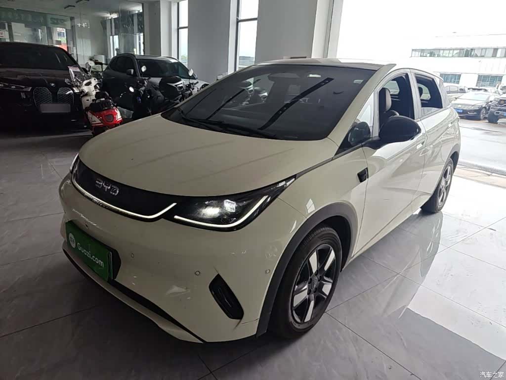 BYD Dolphin, 2025 1