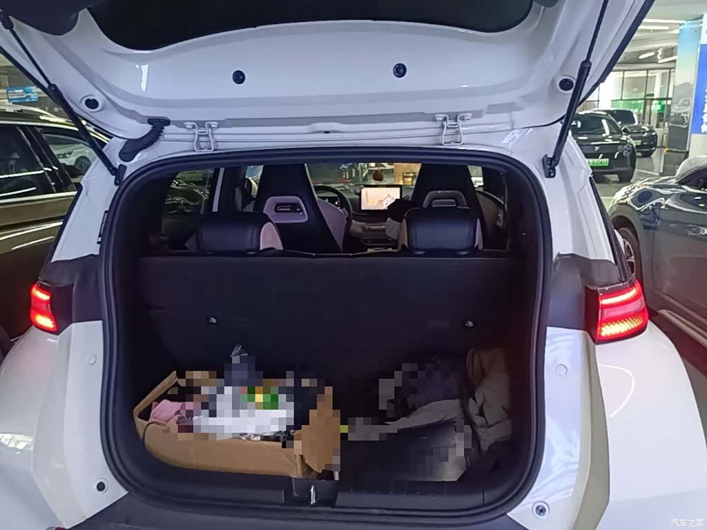 BYD Seagull, 2024 19