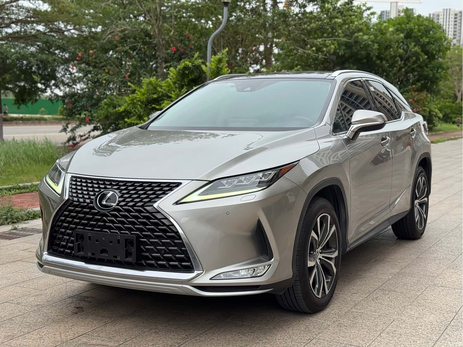 Lexus RX, 2019 2