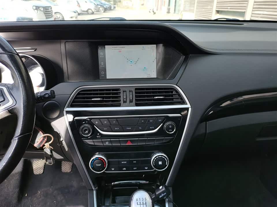 Leopaard Cheetah CS10