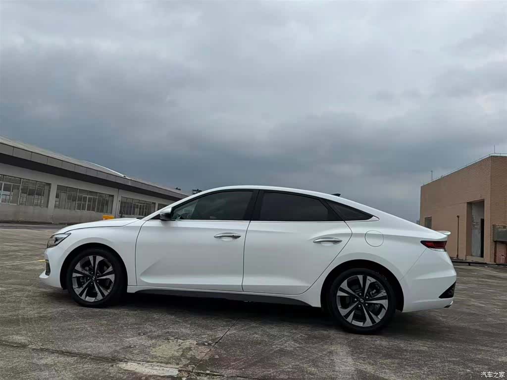Hyundai Lafesta, 2018 11