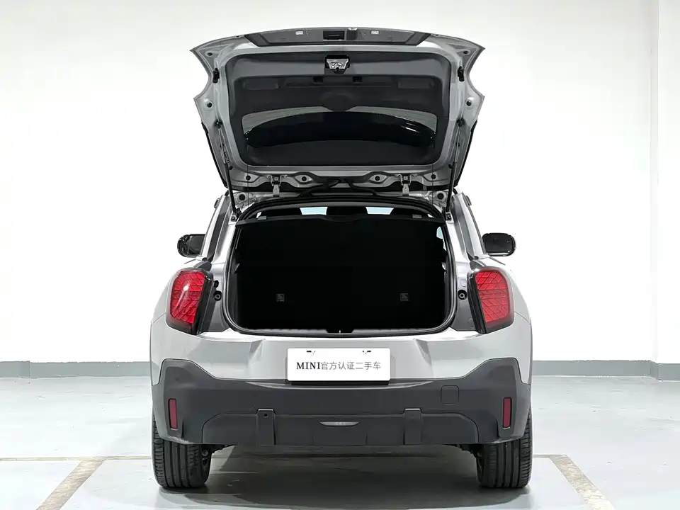 MINI Electric ACEMAN