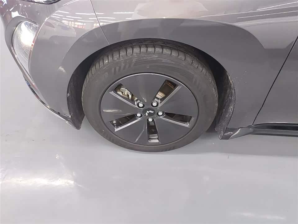 Wuling Wuling Starlight