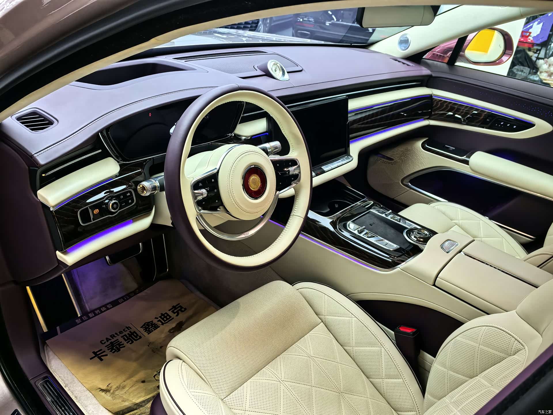 Hongqi Guoya, 2024 6