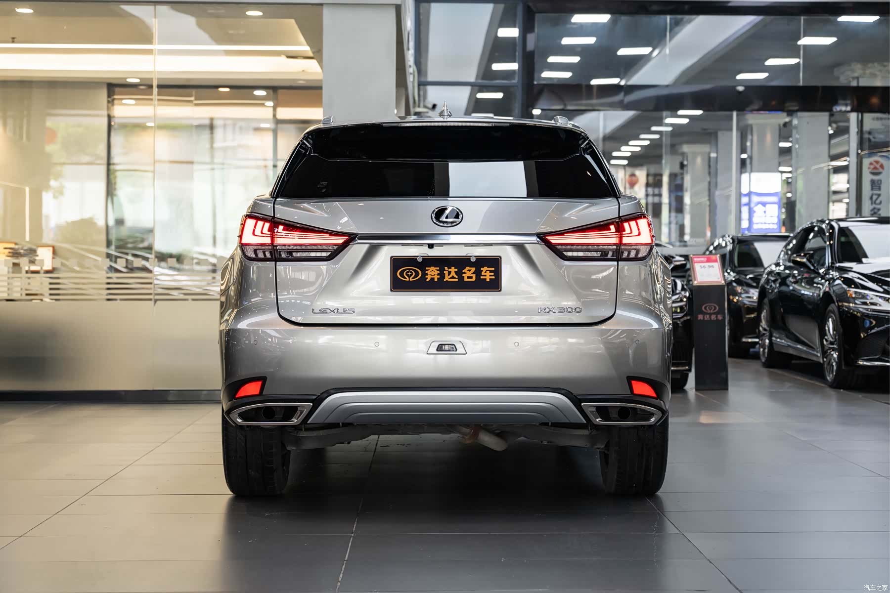 Lexus RX, 2023 все фото