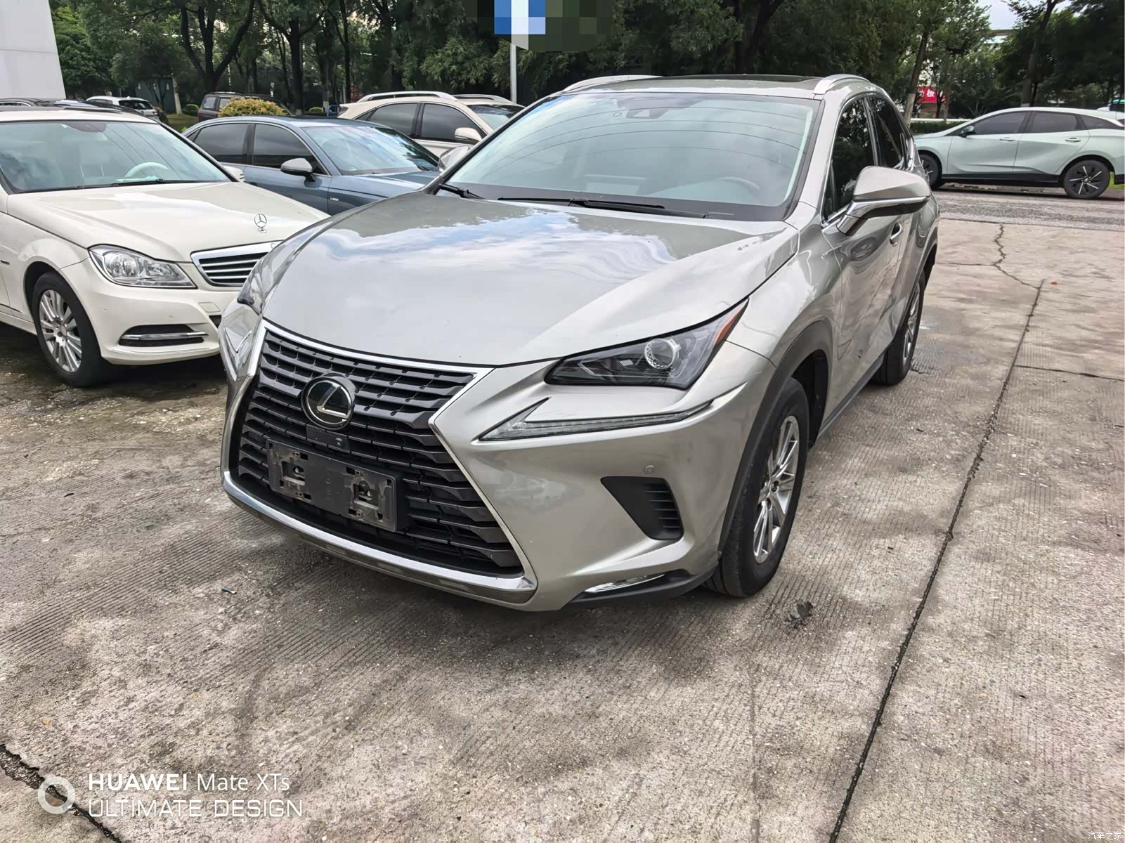 Lexus NX, 2021 1