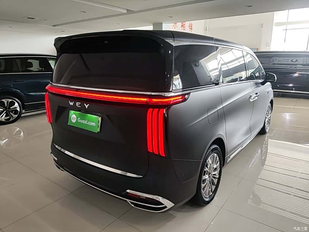 WEY Gaoshan, 2023 7