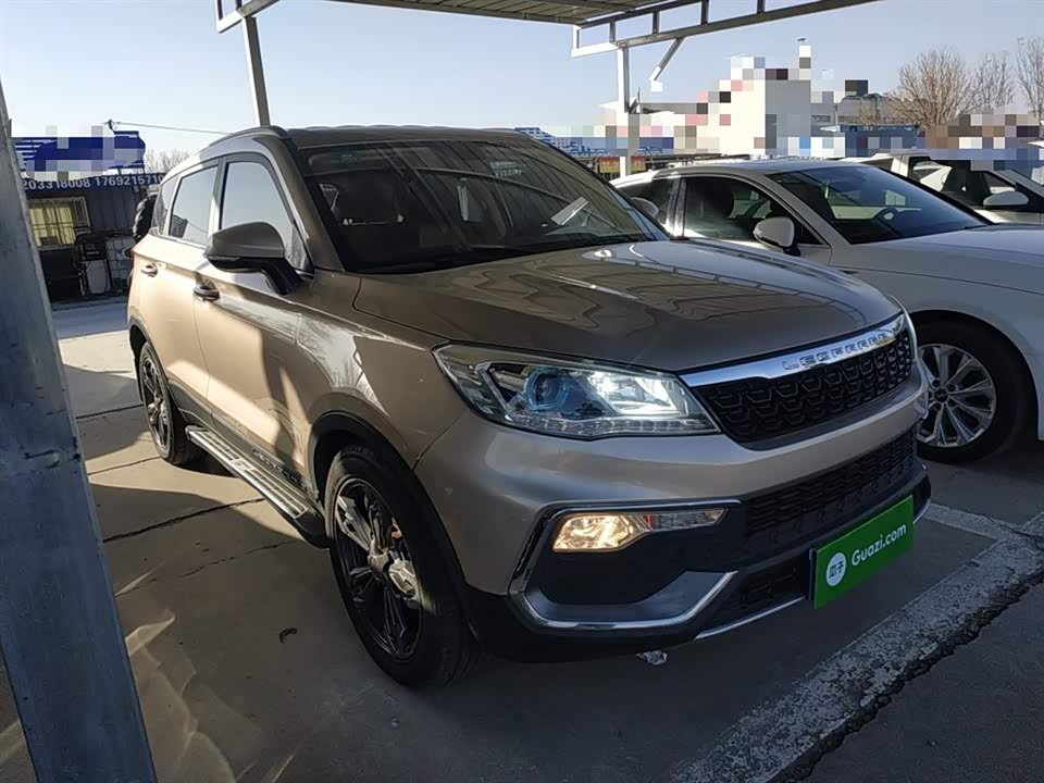 Leopaard Cheetah CS9