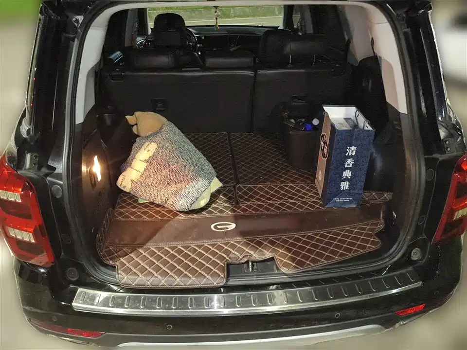 Trumpchi Trumpchi GS8