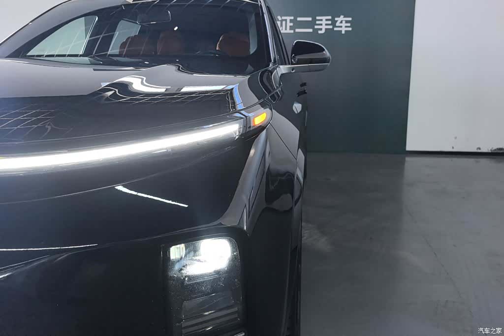 Li Auto L9, 2024 все фото