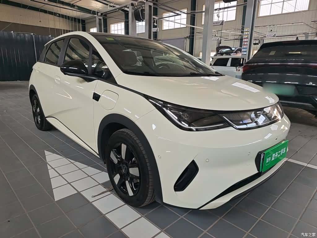 BYD Dolphin, 2025 4