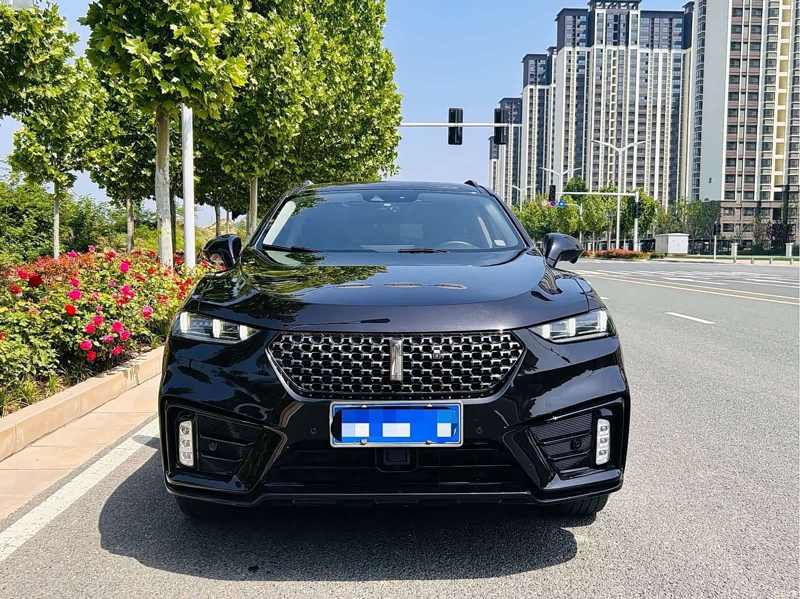 WEY VV7, 2019 1