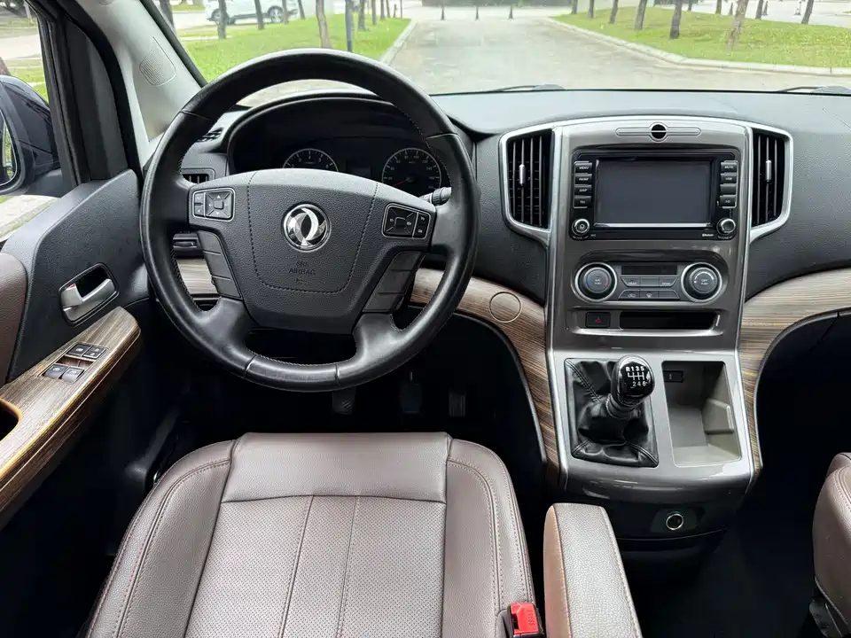 Forthing Lingzhi PLUS