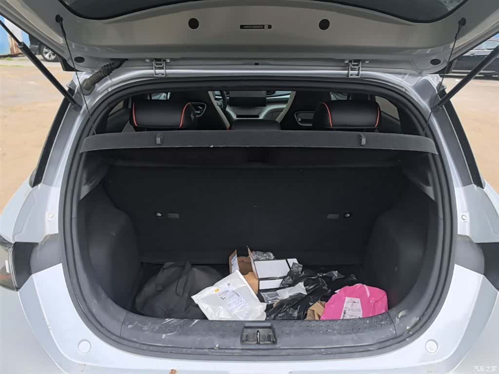 BYD Dolphin, 2021 19