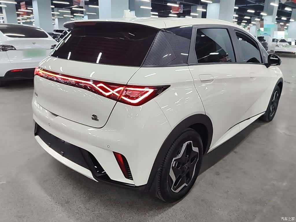BYD Dolphin, 2023 7