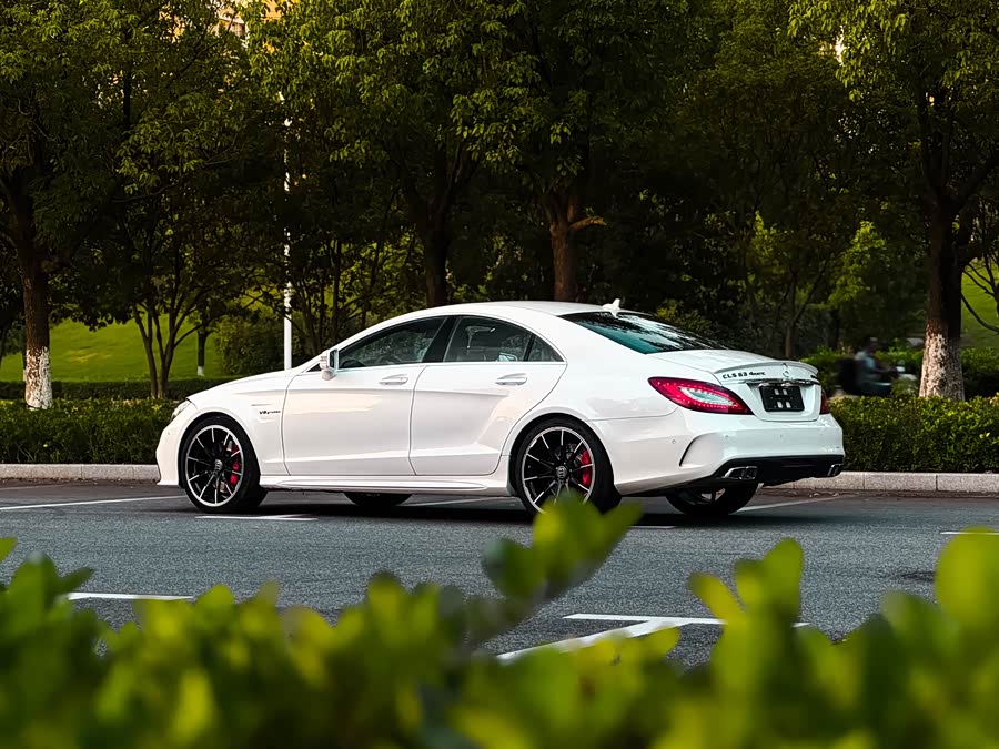Mercedes-Benz CLS AMG 2017, фото 14