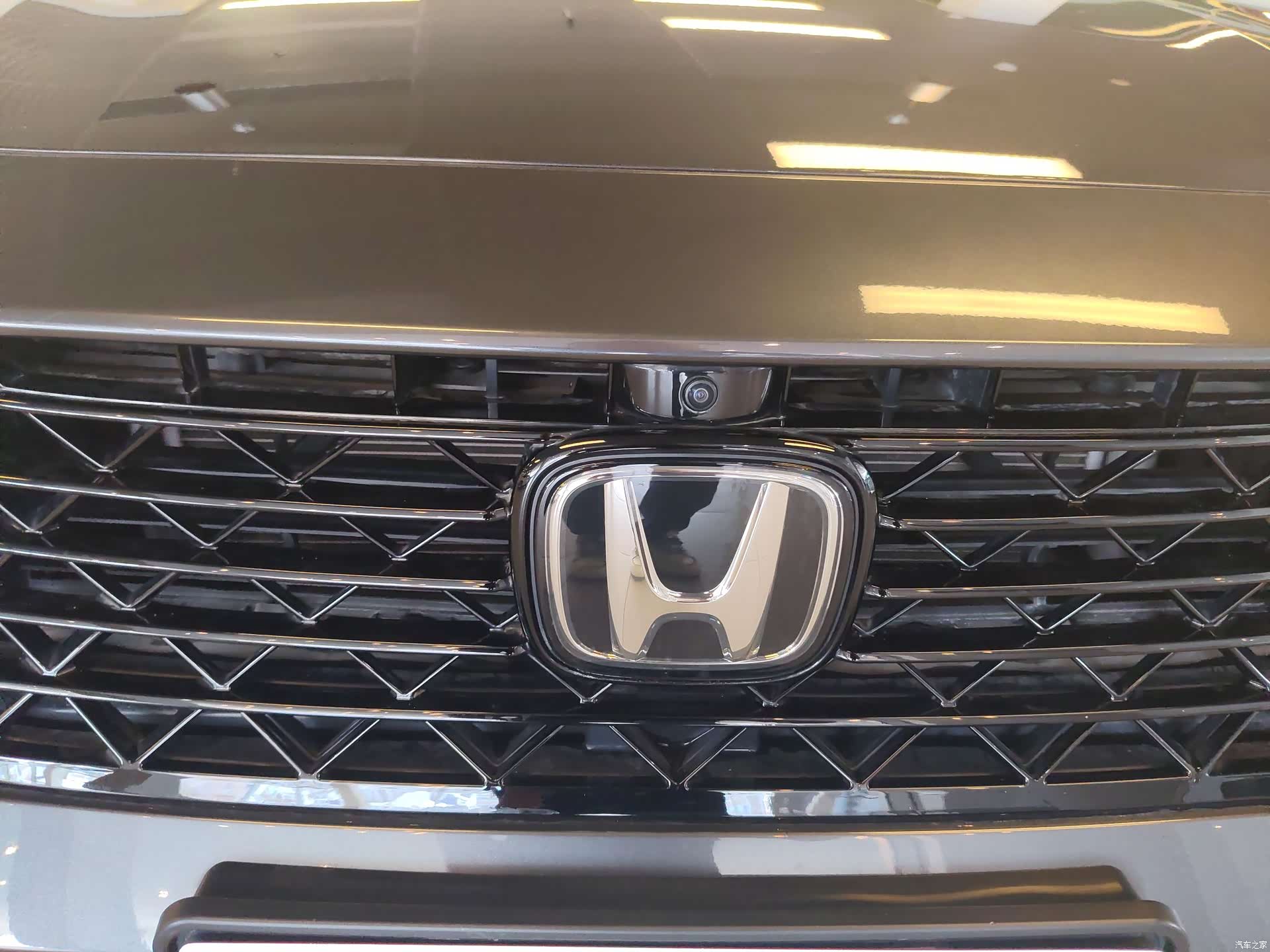 Honda Accord, 2023 все фото