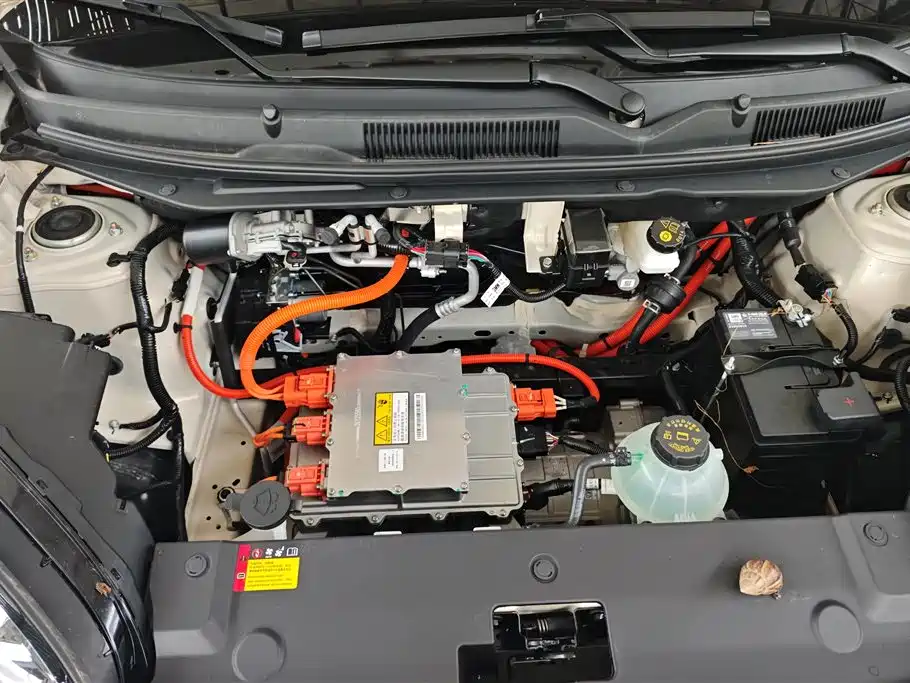 Wuling Wuling Bingguo