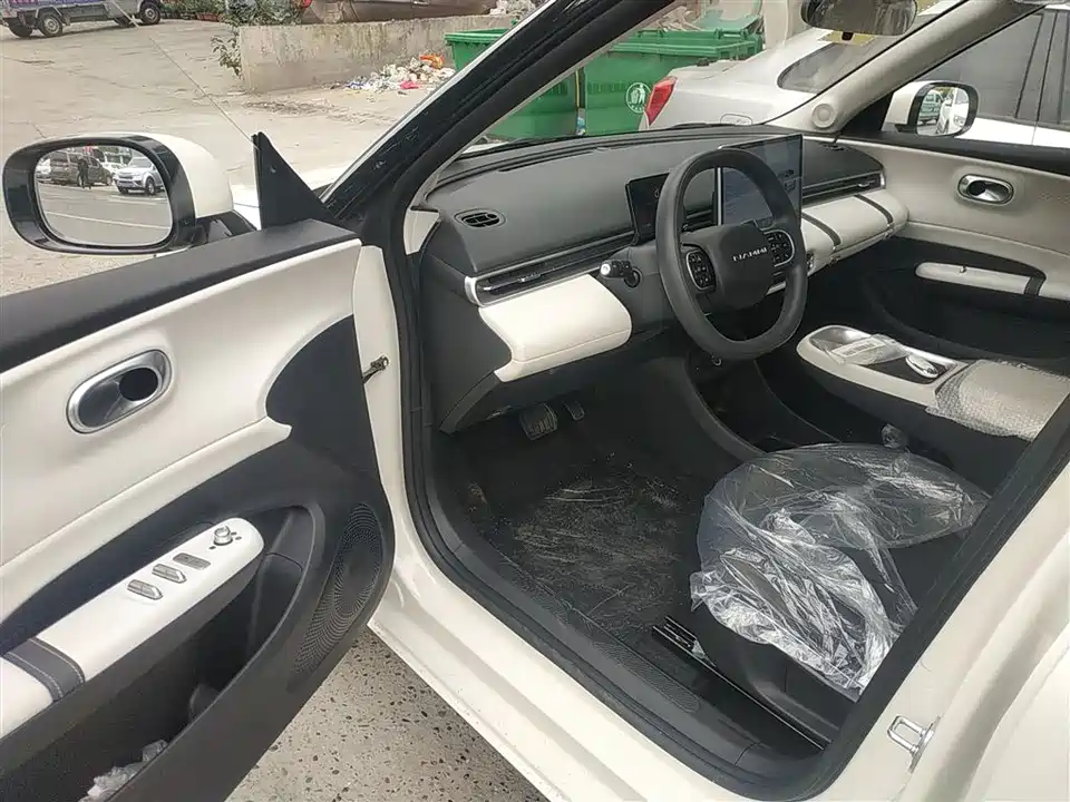 Dongfeng Nammi Nano 01