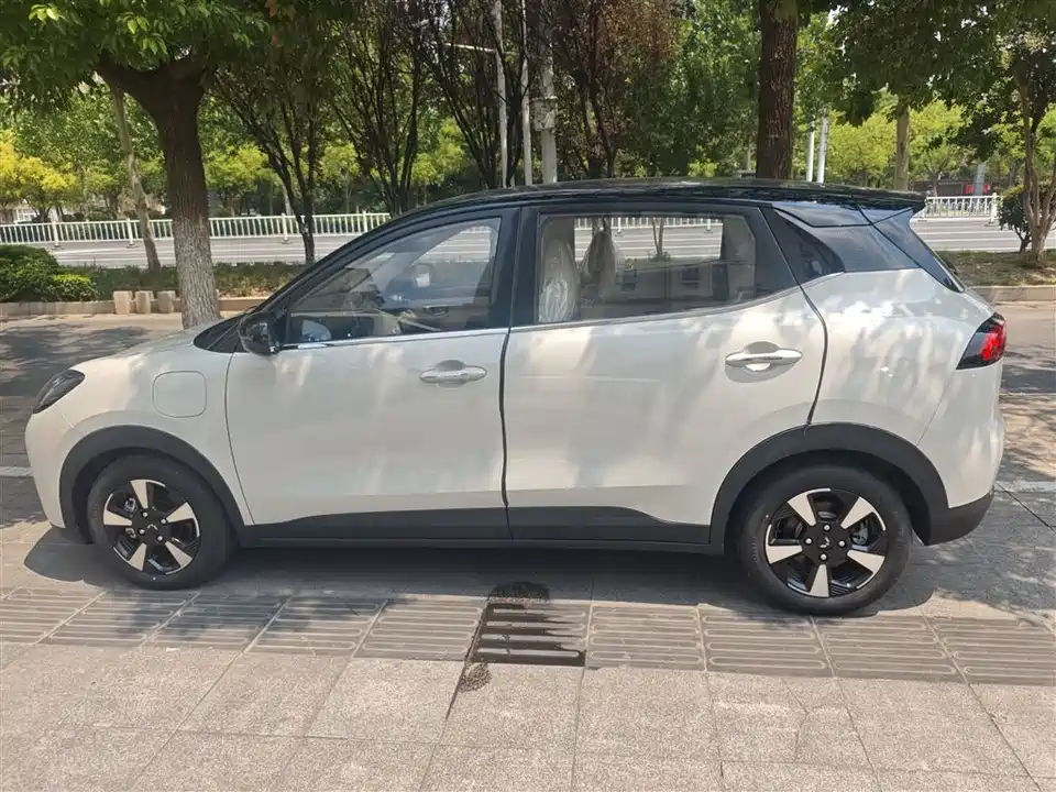 Wuling Wuling Bingguo PLUS