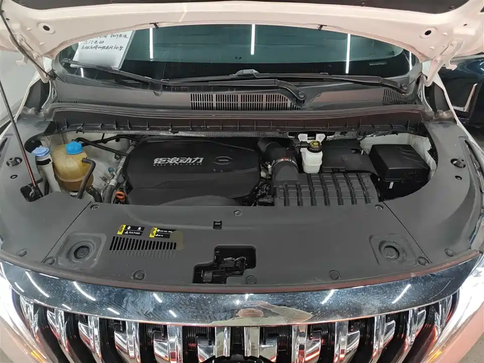 Trumpchi Trumpchi M8