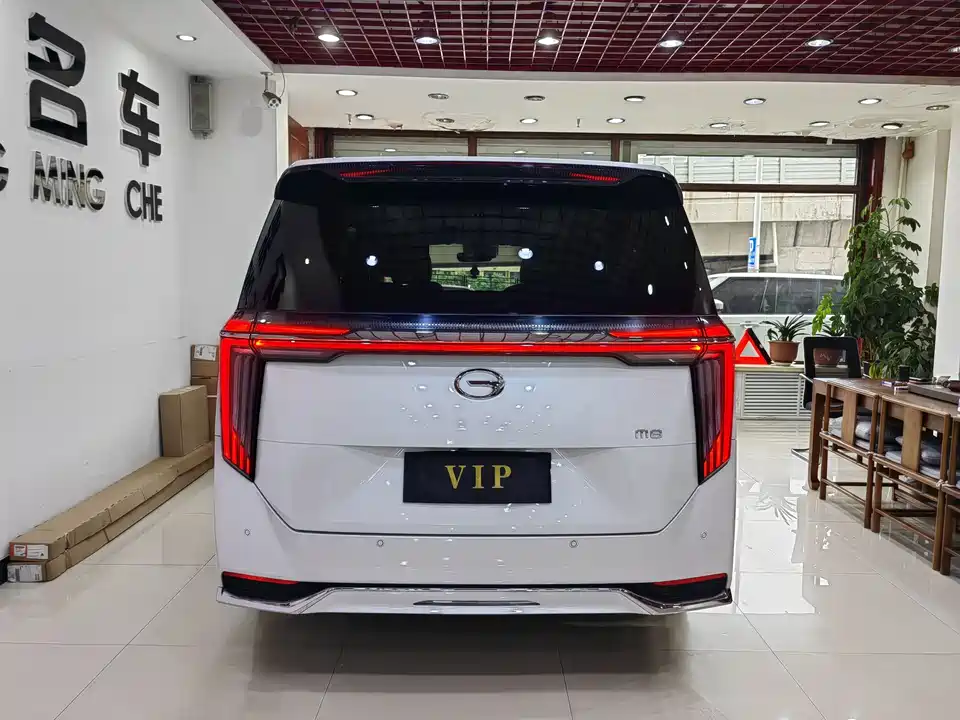 Trumpchi Trumpchi M8