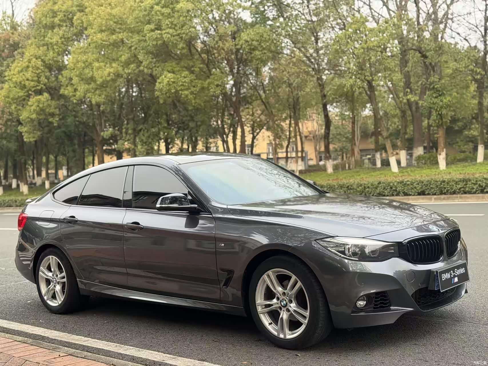 BMW 3 Series, 2017 3