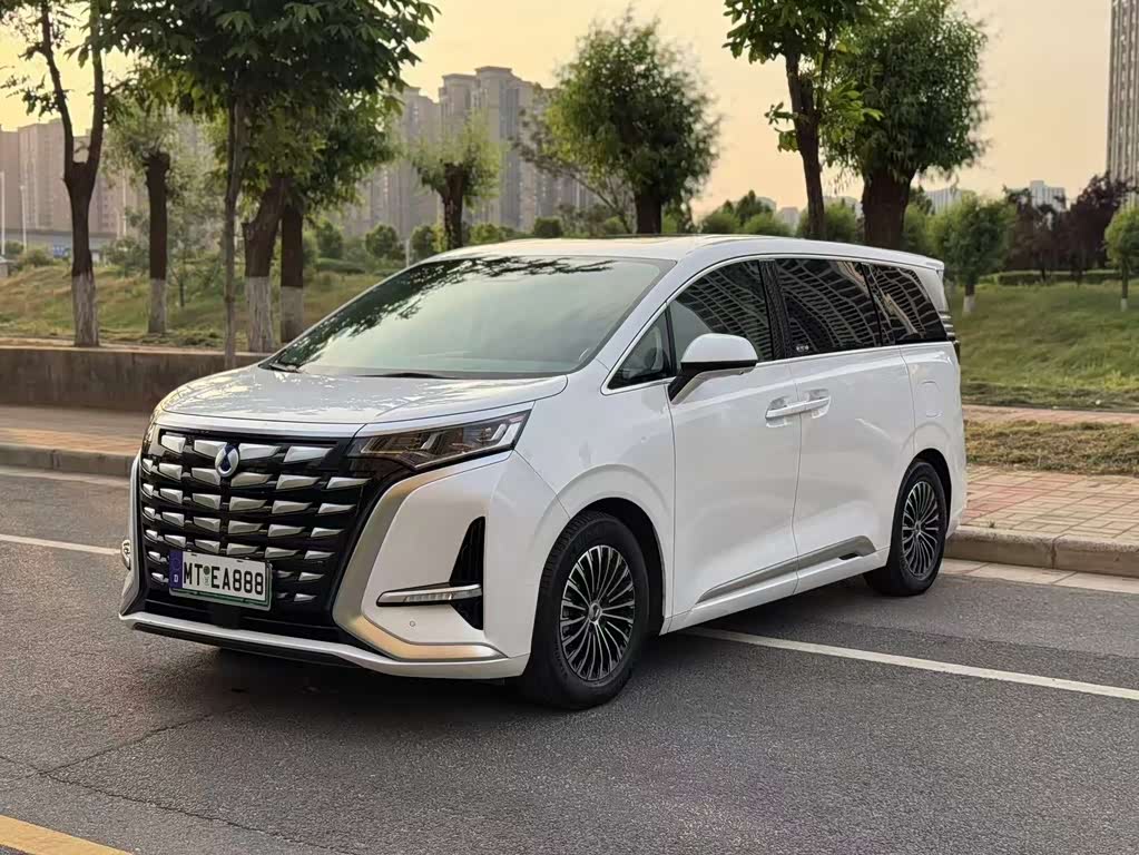 Denza D9