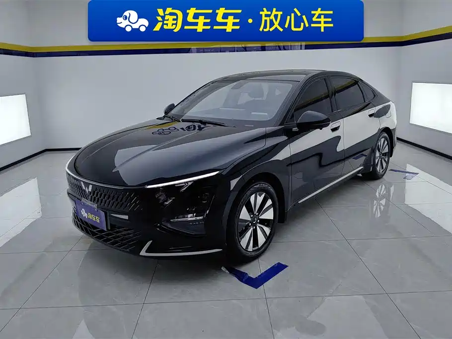 Wuling Wuling Starlight