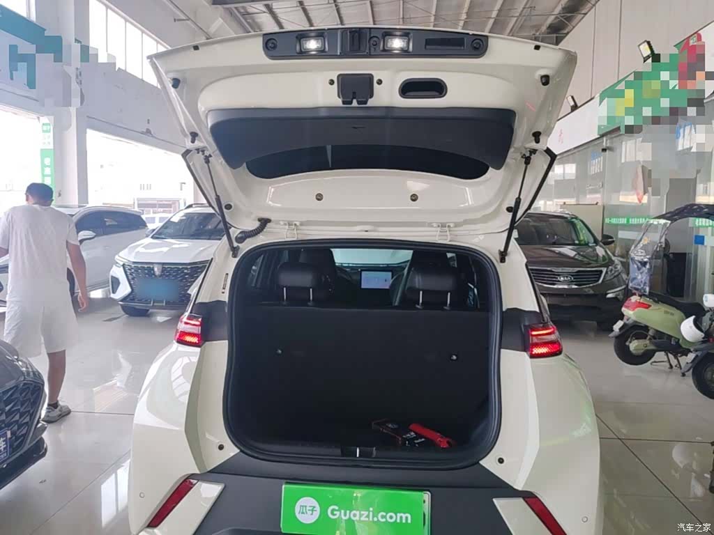 BYD Seagull, 2024 18