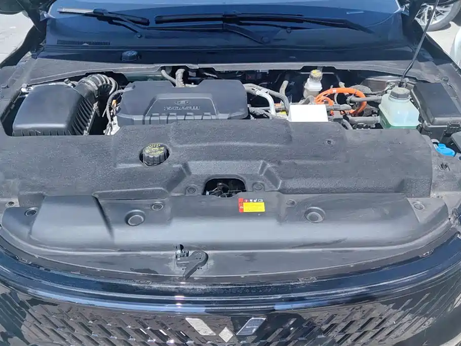 Wuling Wuling Starlight