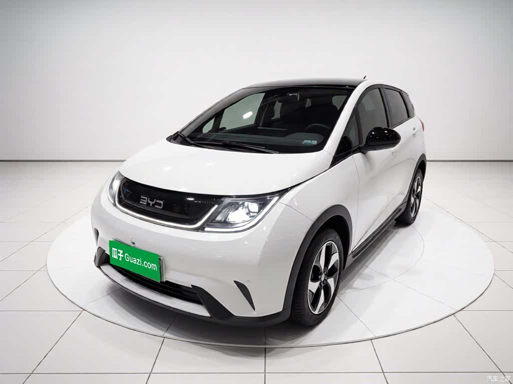 BYD Dolphin, 2024 1