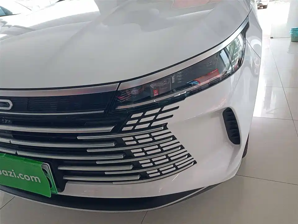 BYD Destroyer 05 BYD Destroyer 05