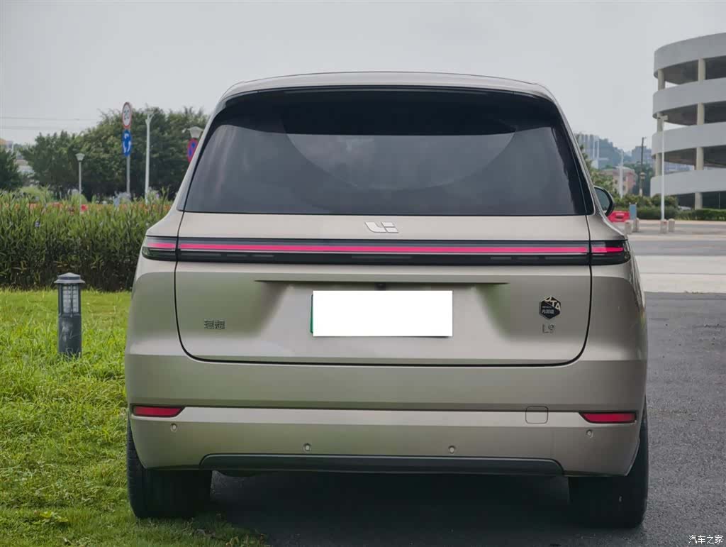 Li Auto L9, 2022 все фото