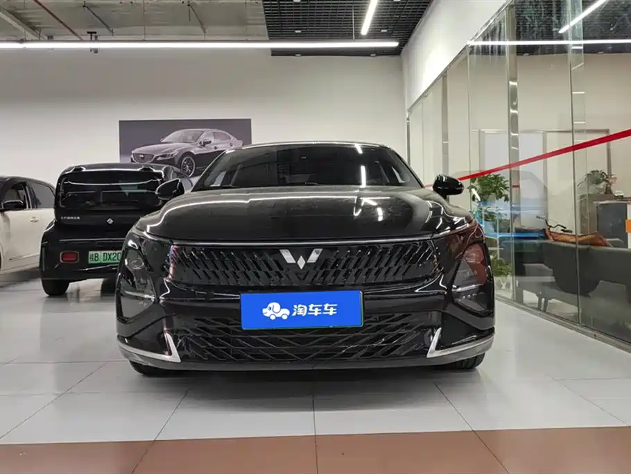 Wuling Wuling Starlight