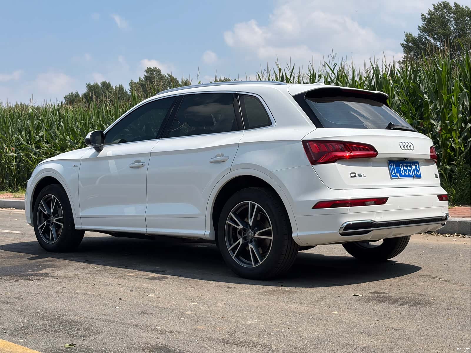 Audi Q5L, 2020 6