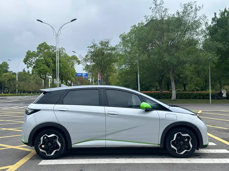 BYD dolphin