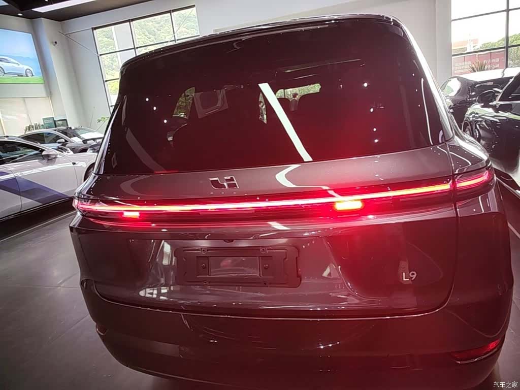 Li Auto L9, 2023 6