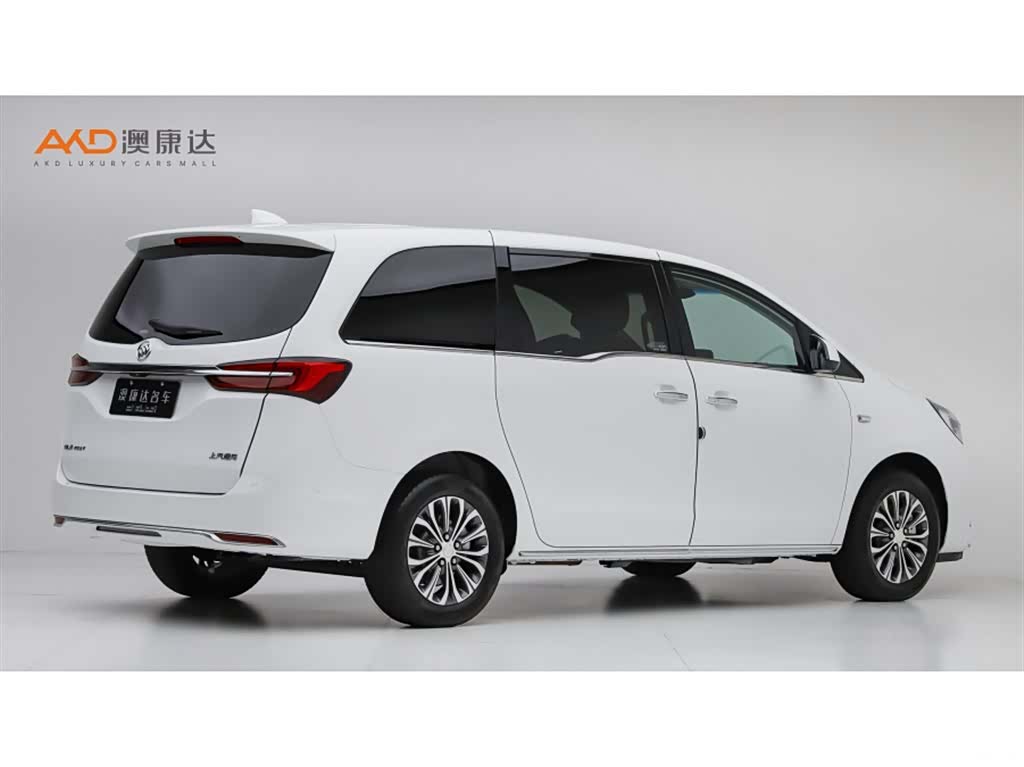 Buick GL8, 2023 3