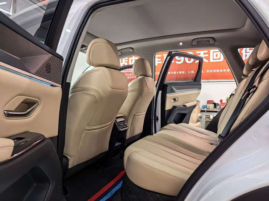 BYD Song Pro New Energy 2025, фото 4