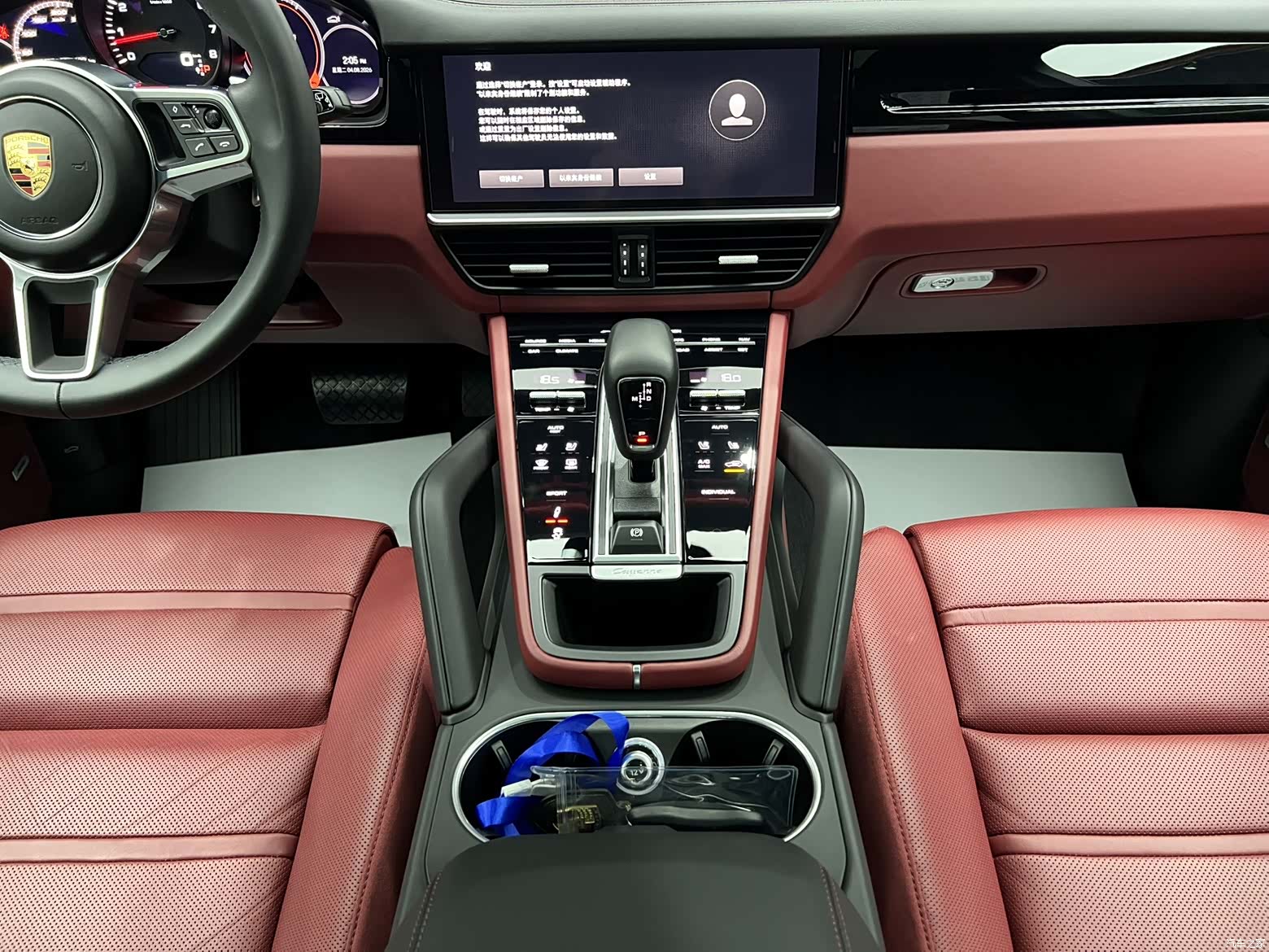 Porsche Cayenne, 2022 11