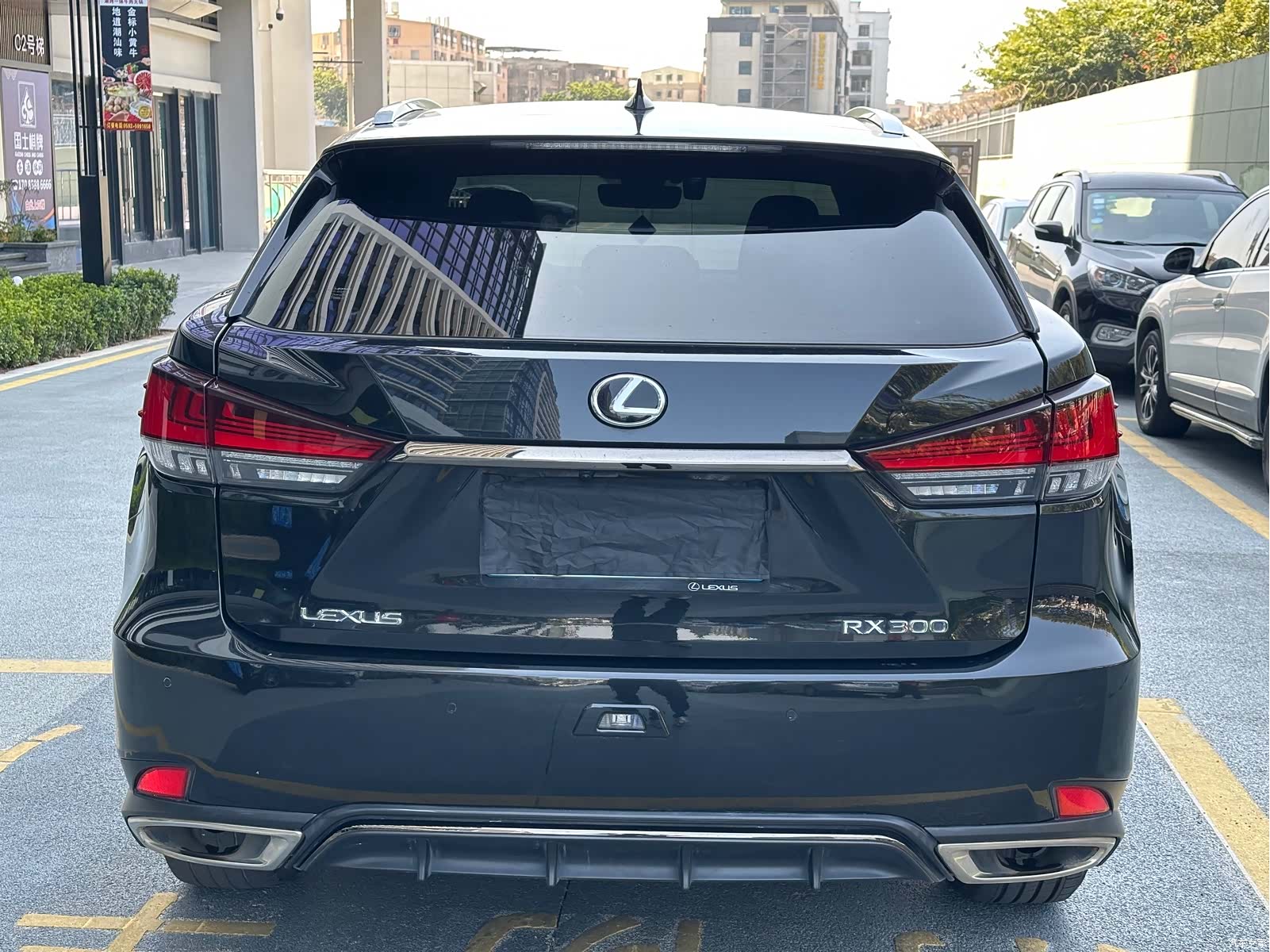 Lexus RX, 2021 все фото