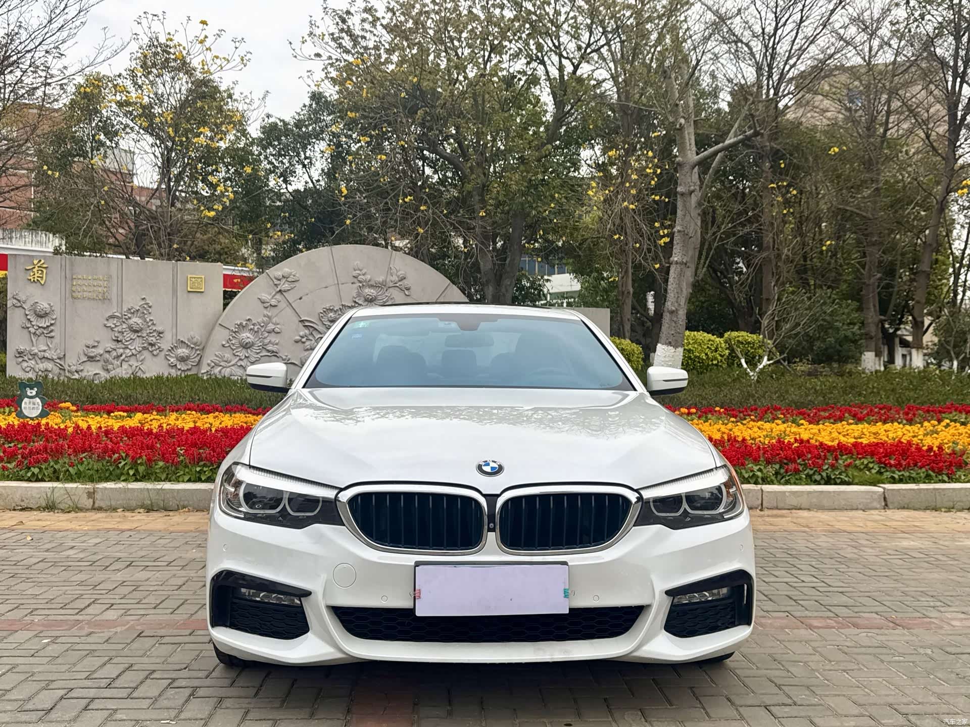 BMW 5 Series, 2017 2