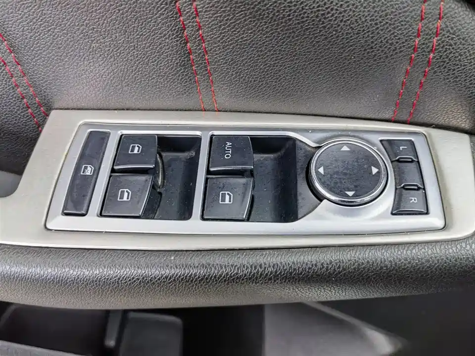 Leopaard Cheetah CS10