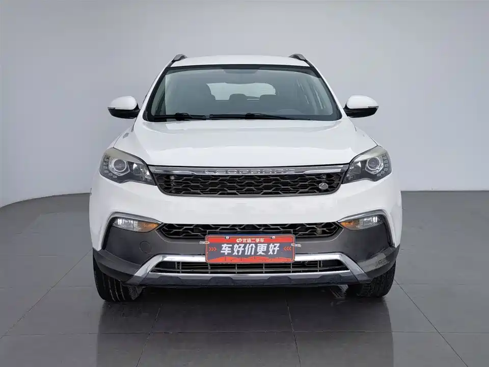 Leopaard Cheetah CS10