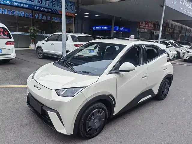 BYD Seagull 2024 — купить из Китая под заказ