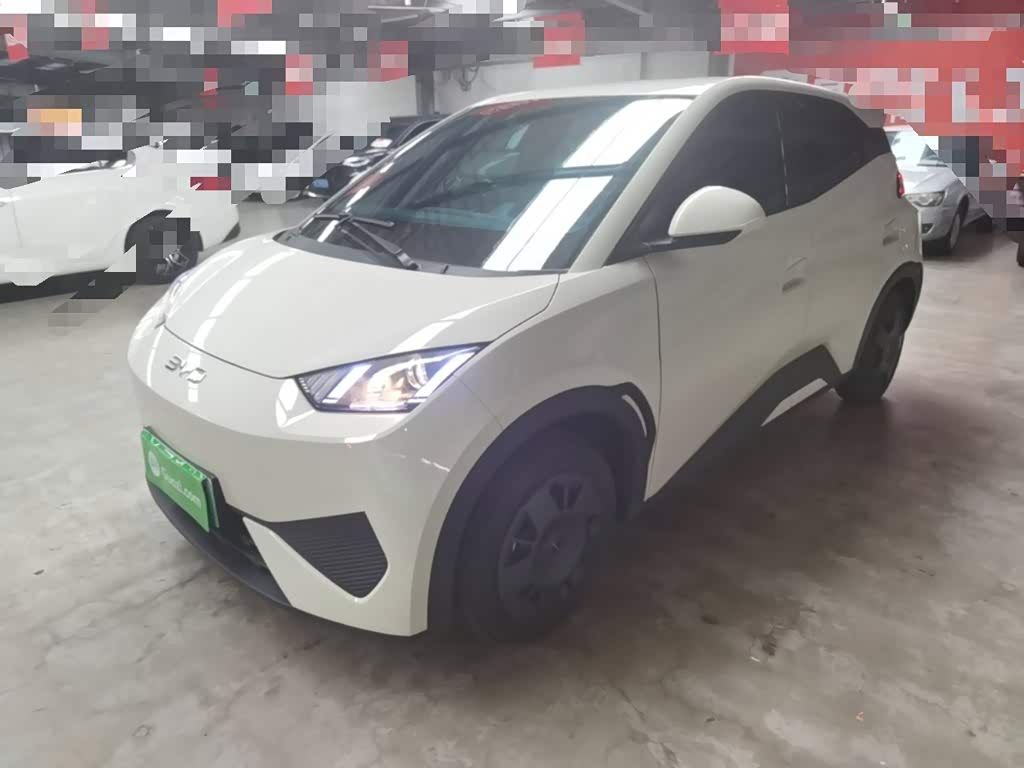 BYD Seagull